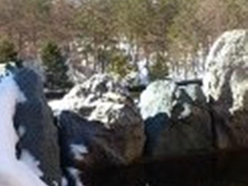 Hotel Cultured Hakuba Dış mekan fotoğraf